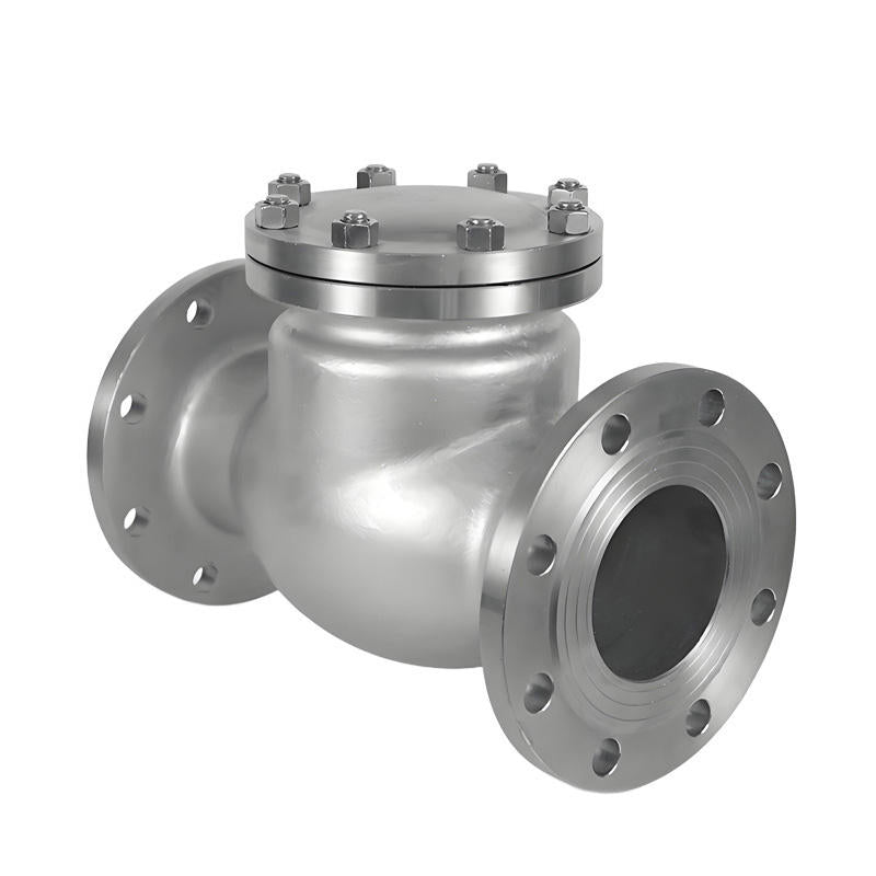 Falvoryn Ductile Iron Flanged Silent Check Valve — Vertical & Horizontal Installation